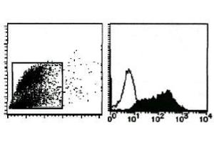 Flow Cytometry (FACS) image for anti-Milk Fat Globule-EGF Factor 8 Protein (MFGE8) antibody (ABIN1449192) (MFGE8 Antikörper)