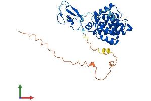 Protein Structure (PS) image for Chimerin (Chimaerin) 2 (CHN2) (AA 1-332) protein (His tag) (ABIN7558416)