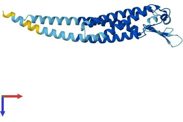 LHFPL3 Protein (AA 1-236) (His tag)