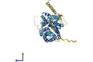 AlphaFold protein structure predicition of Human Recombinant SLC17A7 Protein, UniprotID Q9P2U7