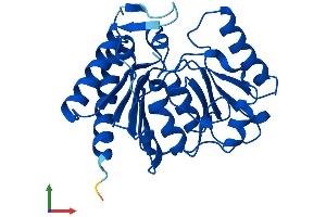 Protein Structure (PS) image for Inositol(myo)-1(or 4)-Monophosphatase 1 (IMPA1) (AA 1-277) protein (His tag) (ABIN7562466)