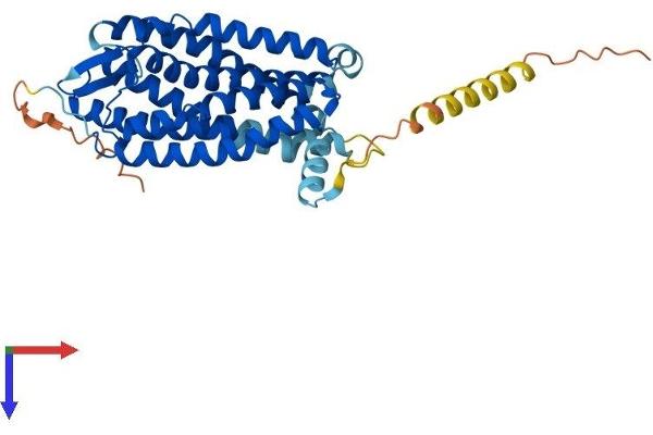 P2RY4 Protein (AA 1-361) (His tag)