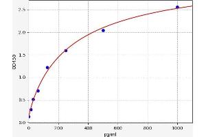 FASL ELISA Kit