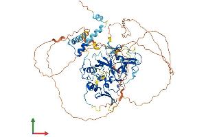 Protein Structure (PS) image for SET Domain, Bifurcated 2 (SETDB2) (AA 1-713) protein (His tag) (ABIN7564503)