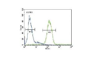 CP Antibody (Center) (ABIN391513 and ABIN2841474) flow cytometric analysis of HepG2 cells (right histogram) compared to a negative control cell (left histogram). (Ceruloplasmin Antikörper  (Center))