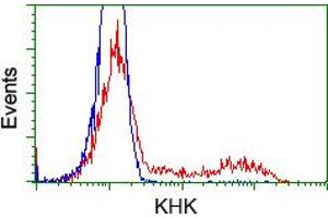 HEK293T cells transfected with either RC202424 overexpress plasmid (Red) or empty vector control plasmid (Blue) were immunostained by anti-KHK antibody (ABIN2453194), and then analyzed by flow cytometry. (Ketohexokinase Antikörper)