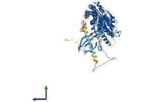 Protein Structure (PS) image for Inhibitor of kappa Light Polypeptide Gene Enhancer in B-Cells, Kinase beta (IKBKB) (AA 1-757) protein (His tag) (ABIN7562595)