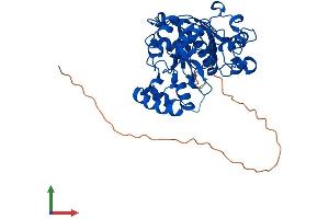Protein Structure (PS) image for Jumonji Domain Containing 6 (JMJD6) (AA 1-403) protein (His tag) (ABIN7554277)