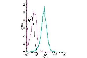 anti-Vasoactive Intestinal Peptide Receptor 2 (VIPR2) (AA 25-37), (Extracellular) antibody