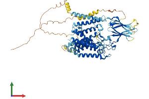 Protein Structure (PS) image for Heparan-alpha-Glucosaminide N-Acetyltransferase (HGSNAT) (AA 1-656) protein (His tag) (ABIN7557170)