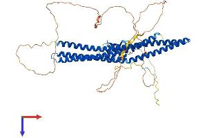 BAIAP2L2 Protein (AA 1-522) (His tag)