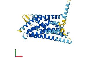Protein Structure (PS) image for Succinate Receptor 1 (SUCNR1) (AA 1-317) protein (His tag) (ABIN7560416)