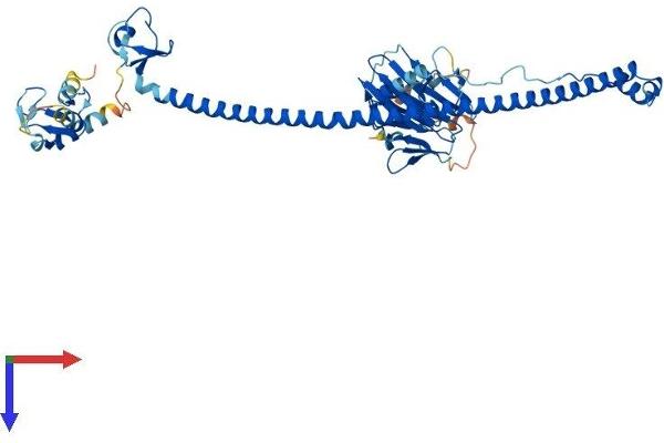 TRIM6 Protein (AA 1-488) (His tag)