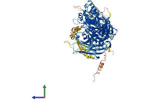 AlphaFold protein structure predicition of Mouse Recombinant Pla2g4f Protein, UniprotID Q50L41