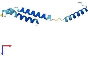 DPM3 Protein (AA 1-92) (His tag)