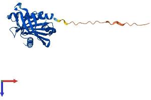 STARD6 Protein (AA 1-233) (His tag)