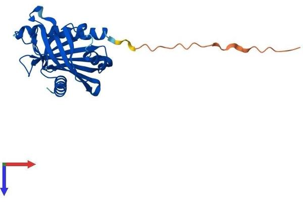 STARD6 Protein (AA 1-233) (His tag)