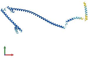 Protein Structure (PS) image for HAUS Augmin-Like Complex, Subunit 1 (HAUS1) (AA 1-278) protein (His tag) (ABIN7558663)