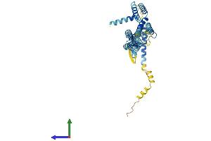 AlphaFold protein structure predicition of Mouse Recombinant Dcstamp Protein, UniprotID Q7TNJ0