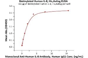 ELISA image for Interleukin 8 (IL8) (AA 28-99) (Active) protein (His tag,AVI tag,Biotin) (ABIN7013172)