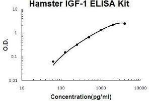 Hamster IGF-1 PicoKine ELISA Kit standard curve (IGF1 ELISA Kit)