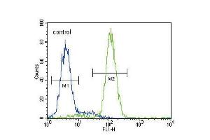 Flow cytometric analysis of HepG2 cells (right histogram) compared to a negative control cell (left histogram). (HMGCS2 Antikörper  (C-Term))