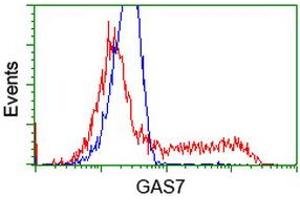 HEK293T cells transfected with either RC215256 overexpress plasmid (Red) or empty vector control plasmid (Blue) were immunostained by anti-GAS7 antibody (ABIN2453056), and then analyzed by flow cytometry. (GAS7 Antikörper)