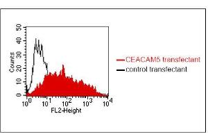FACS analysis of BOSC23 cells using 4/3/17. (CEACAM1/5 Antikörper)