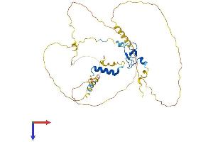 PHF23 Protein (AA 1-403) (His tag)