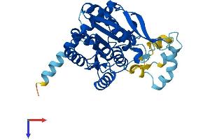 HSD17B7 Protein (AA 1-341) (His tag)