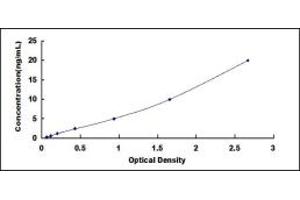 Typical standard curve (CEA ELISA Kit)