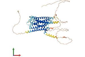 AlphaFold protein structure predicition of Mouse Recombinant Adra1b Protein, UniprotID P97717