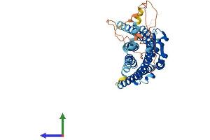 AlphaFold protein structure predicition of Human Recombinant SSTR4 Protein, UniprotID P31391