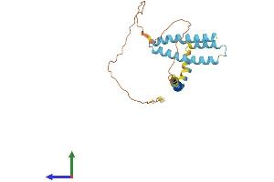 Protein Structure (PS) image for Receptor Accessory Protein 3 (REEP3) (AA 1-254) protein (His tag) (ABIN7560340)
