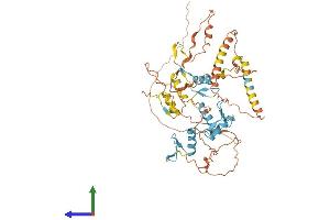 Protein Structure (PS) image for IKAROS Family Zinc Finger 1 (Ikaros) (IKZF1) (AA 1-519) protein (His tag) (ABIN7554142)