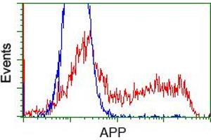 Image no. 2 for anti-Amyloid beta (A4) Precursor Protein (APP) antibody (ABIN1496878) (APP Antikörper)