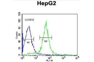 AIFM2 Antibody (C-term) flow cytometric analysis of HepG2 cells (right histogram) compared to a negative control cell (left histogram). (AIFM2 Antikörper  (C-Term))
