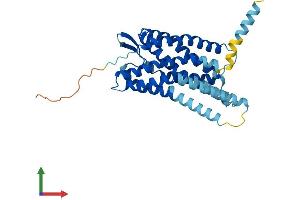 Protein Structure (PS) image for Pyrimidinergic Receptor P2Y, G-Protein Coupled, 6 (P2RY6) (AA 1-328) protein (His tag) (ABIN7550272)