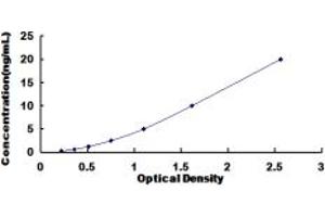 Typical standard curve (NDRG2 ELISA Kit)