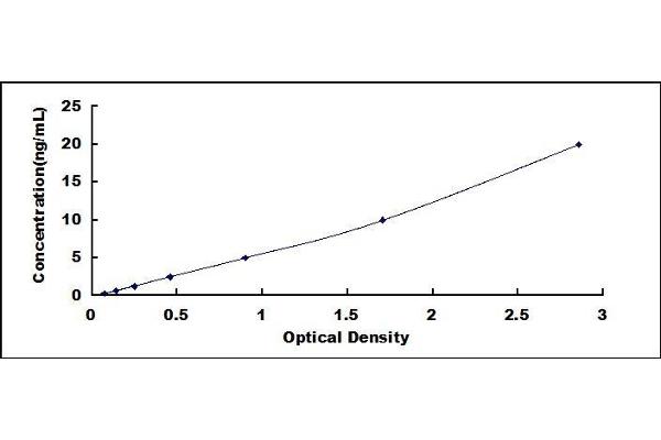 TLR4 ELISA Kit