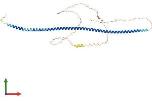 Protein Structure (PS) image for Golgi Membrane Protein 1 (GOLM1) (AA 1-393) protein (His tag) (ABIN7560079)
