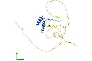 Protein Structure (PS) image for Distal-Less Homeobox Protein 1 (DLX1) (AA 1-255) protein (His tag) (ABIN7547117)