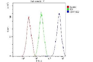 Flow Cytometry analysis of HepG2 cells using anti- HAUSP/USP7 antibody (ABIN6719603). (USP7 Antikörper  (AA 258-483))