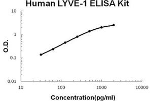 Human LYVE-1 PicoKine ELISA Kit standard curve