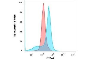 Flow Cytometric Analysis of U87MG cells using CD73 Mouse Monoclonal Antibody (NT5E/2545) followed by goat anti-Mouse IgG-CF488 (Blue); Isotype Control (Red). (CD73 Antikörper)