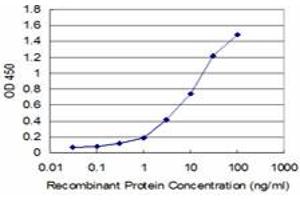 Detection limit for recombinant GST tagged CTH is approximately 1ng/ml as a capture antibody. (CTH Antikörper  (AA 1-405))