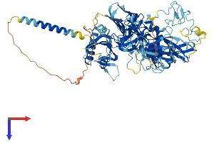 TMPRSS7 Protein (AA 1-829) (His tag)