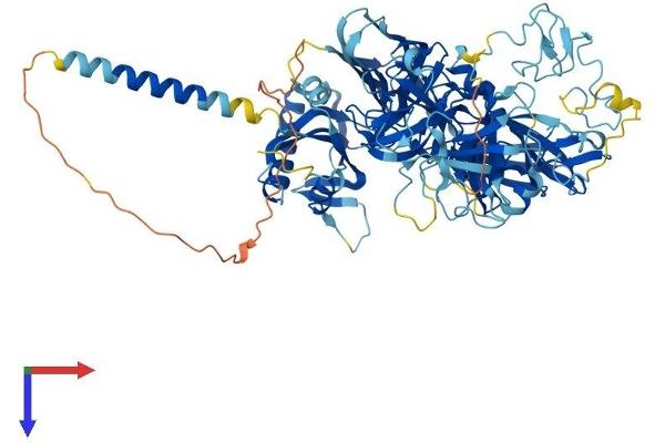 TMPRSS7 Protein (AA 1-829) (His tag)
