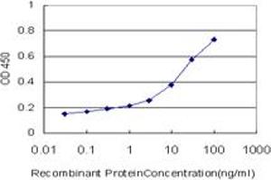 Detection limit for recombinant GST tagged GRHL3 is approximately 0. (GRHL3 Antikörper  (AA 101-200))