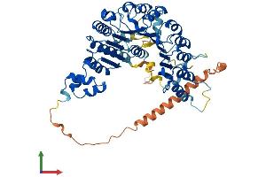 Protein Structure (PS) image for F-Box Protein 33 (FBXO33) (AA 1-562) protein (His tag) (ABIN7559881)